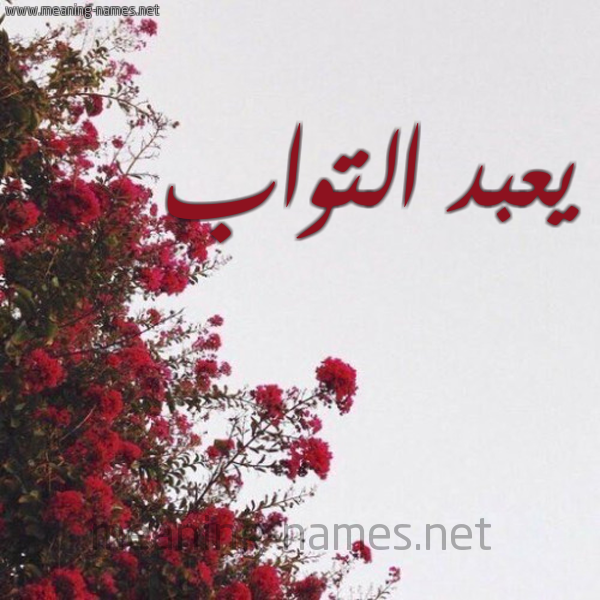 شكل 18 صوره الورد الأحمر للإسم بخط رقعة صورة اسم يعبد التواب Abdul-Tawab